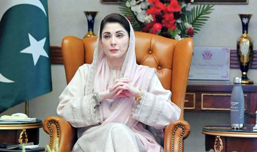 PML-N Govt striving to resolve economic difficulties of masses: Maryam