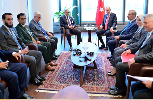 Pakistan, Turkiye agree to enhance ties in diverse fields