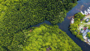 Nature-based solutions termed critical to address climate change impacts