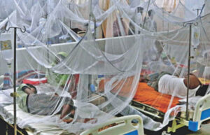 chikungunya, zika viruses outbreaks