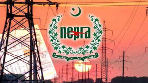 member nepra tariff