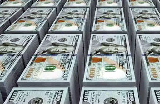 Overseas Pakistanis Send Record $8.8 Billion