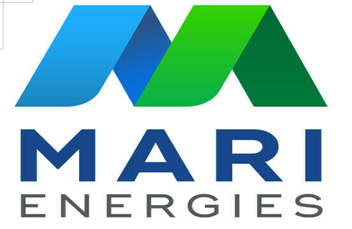 Mari Reports 42% Decline in Earnings