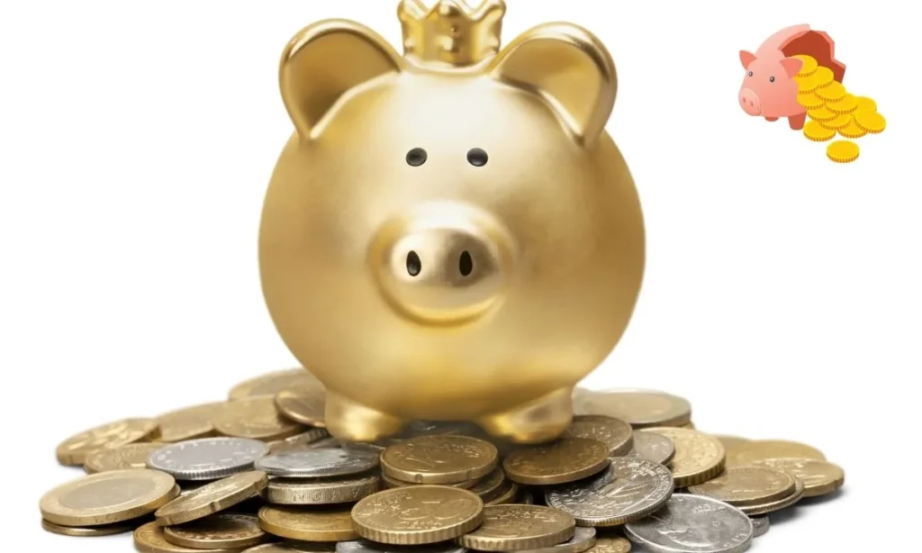 foreign debt in 2024-25