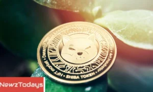 Shiba inu Price Forecasts