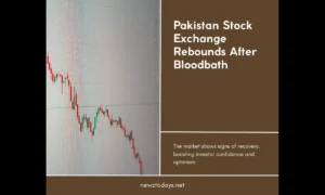 Pakistan Stock Exchange Rebounds
