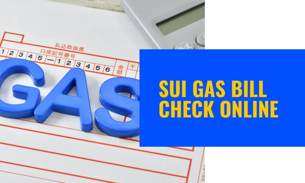 sui gas bill