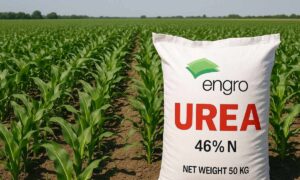 engro fertilizer