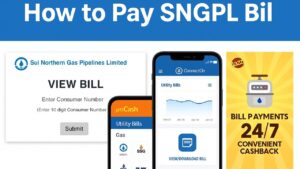 SNGPL bill Payment