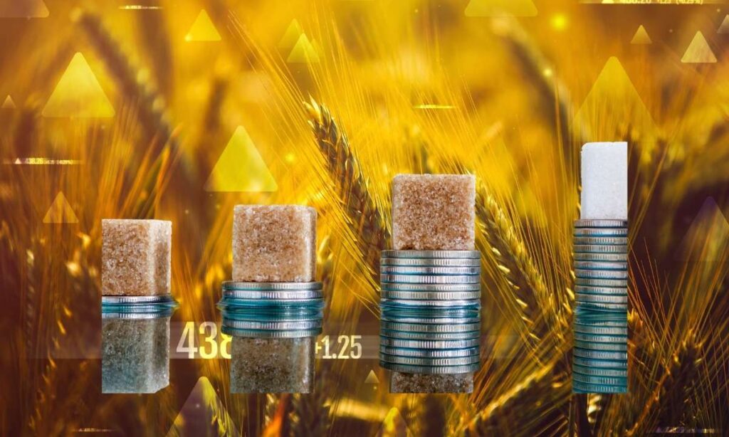 wheat and sugar prices